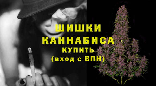 гашик Гатчина