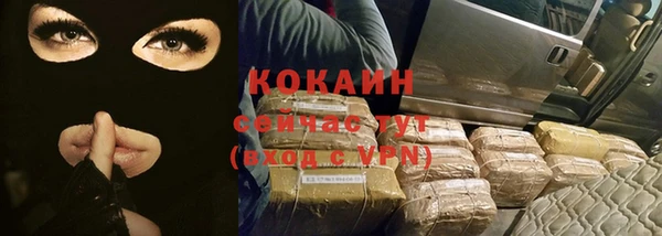 шишки Краснотурьинск