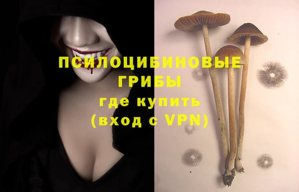 МДПВ Красноперекопск