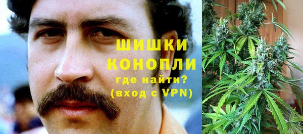 шишки Краснотурьинск