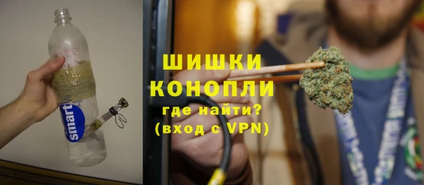шишки Краснотурьинск