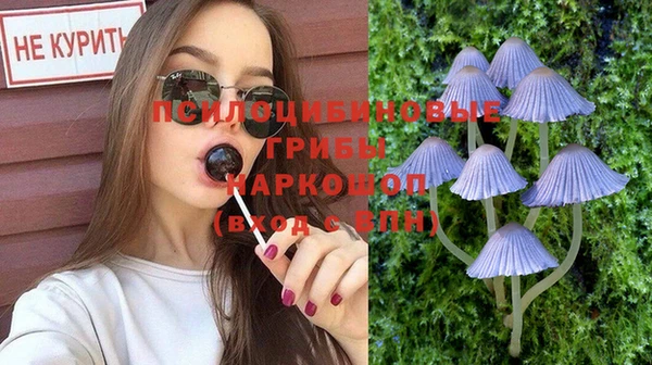 кристаллы Краснослободск