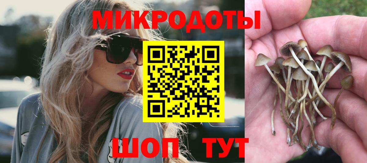 Моршанск  Галлюциногенные грибы прущие грибы  Вход с VPN  наркотики  Псилоцибиновые грибы Cubensis 