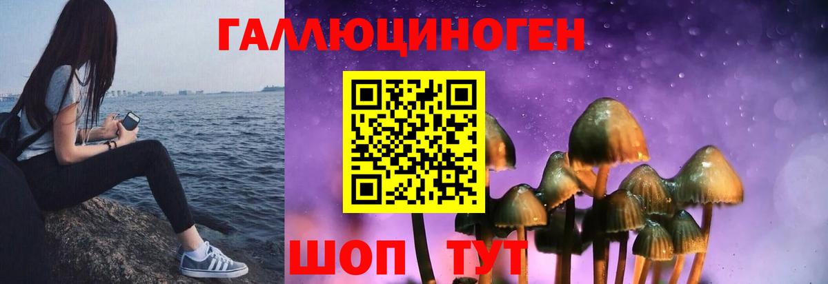 Галлюциногенные грибы мицелий Моршанск